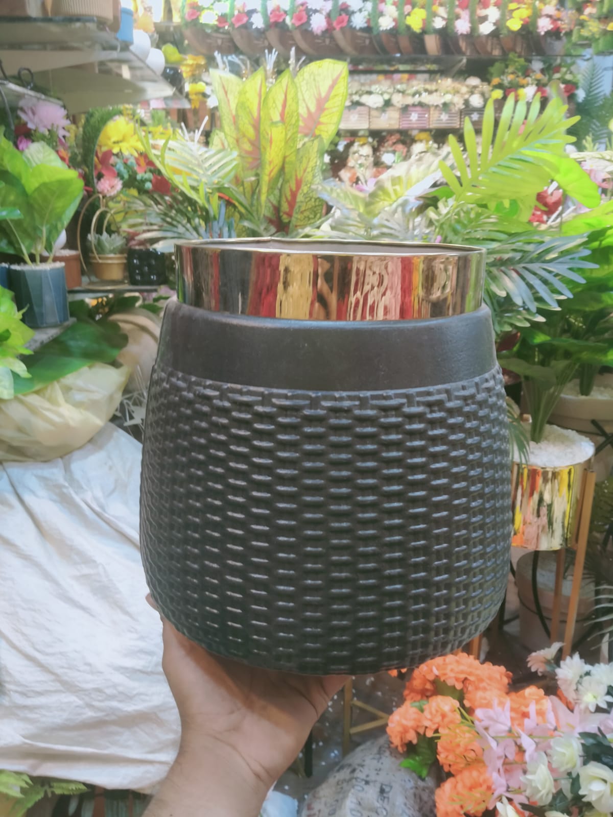 Aglaonema Plant with Golden Neck Pot