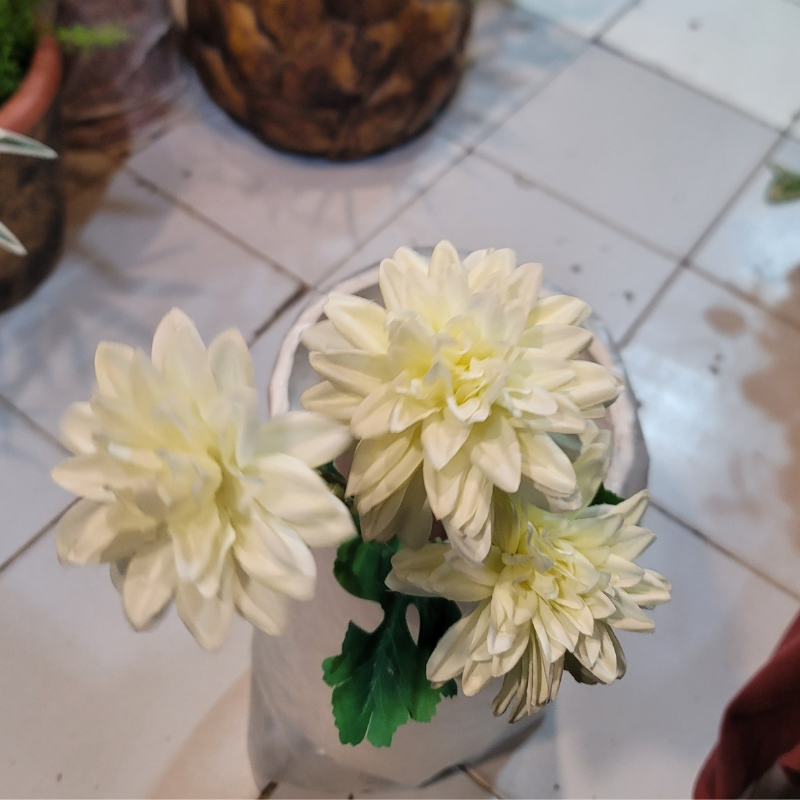 Dahlia Pinnata Flower Stick