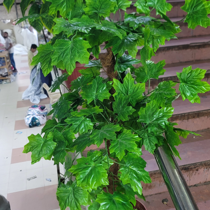 2-in-1 Double Pipe Plant
