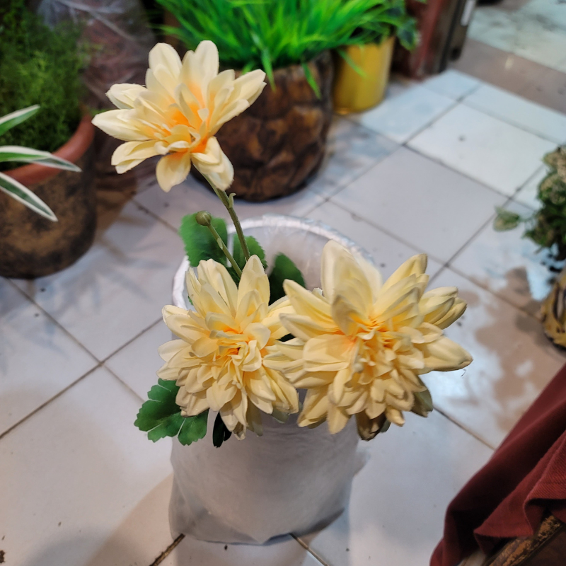 Dahlia Pinnata Flower Stick