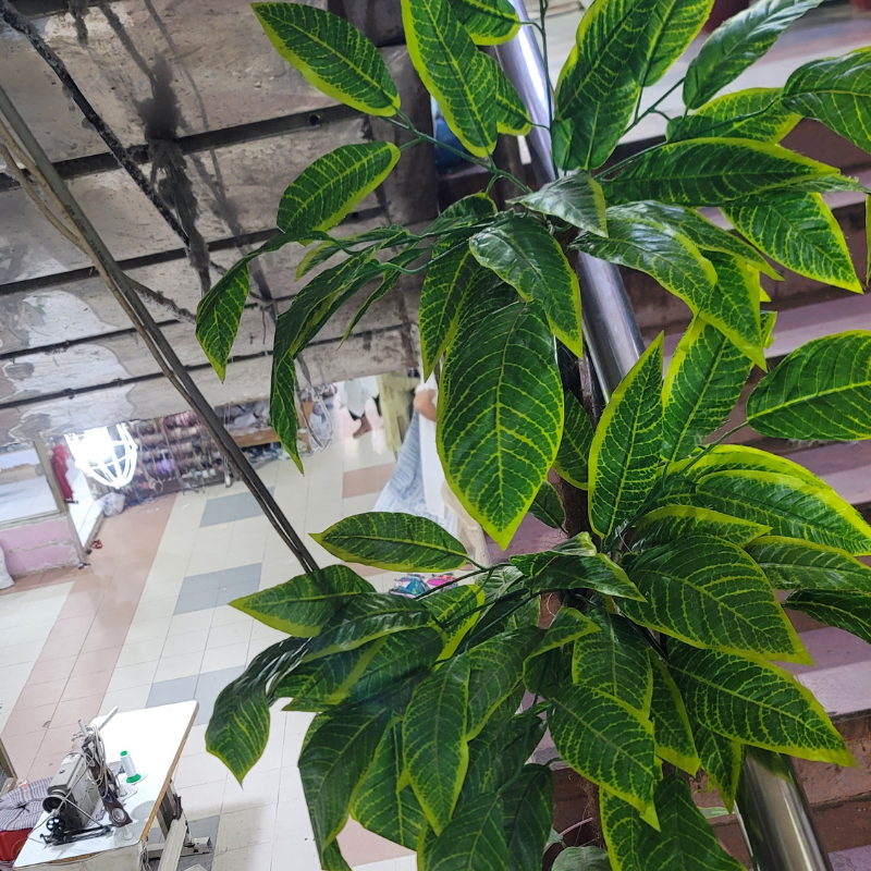 2-in-1 Double Pipe Plant