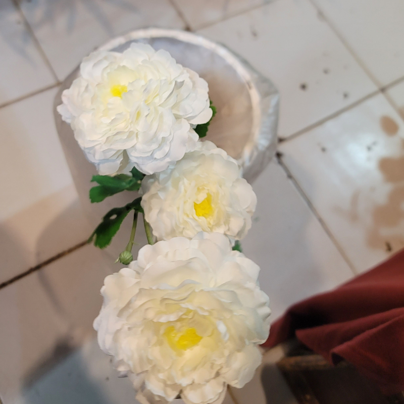 Moutan Peony Stick