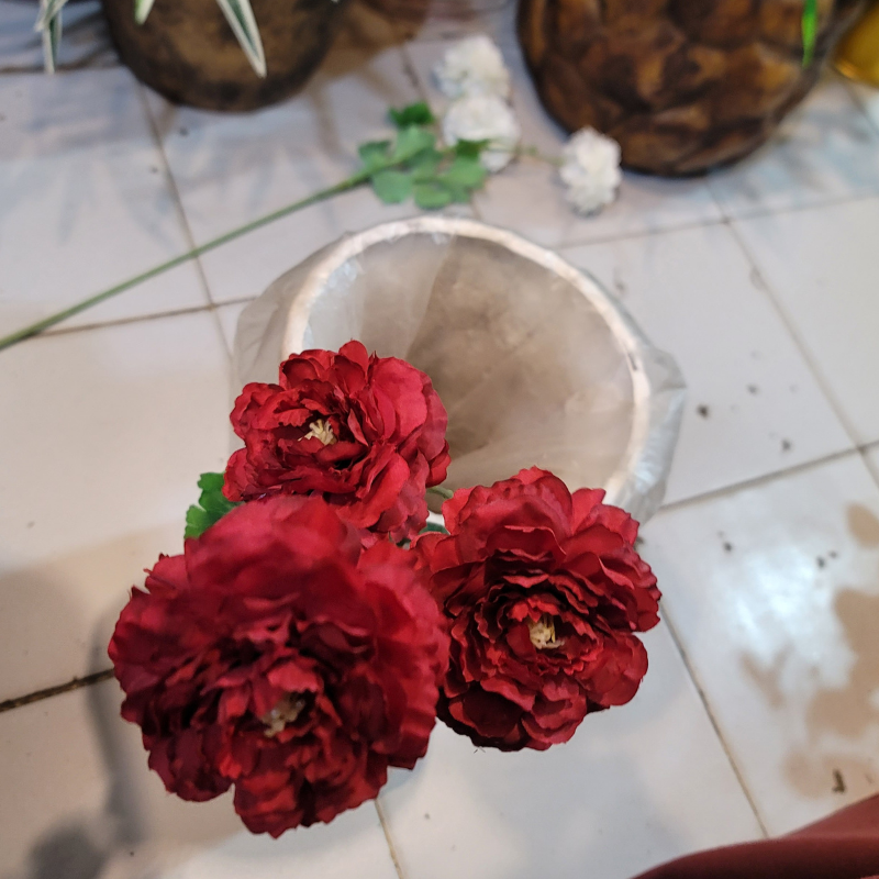 Moutan Peony Stick