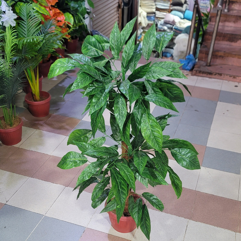 2-in-1 Double Pipe Plant