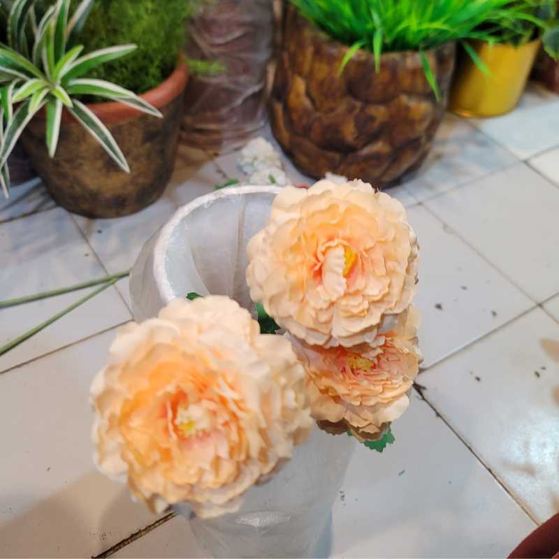 Moutan Peony Stick
