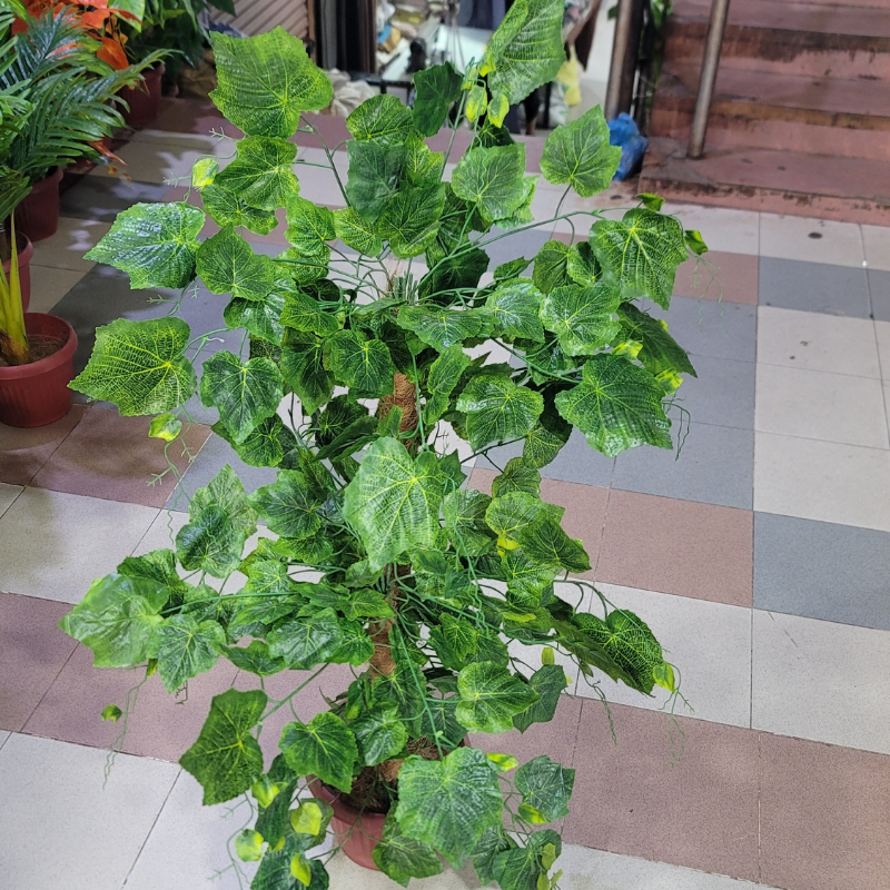 2-in-1 Double Pipe Plant