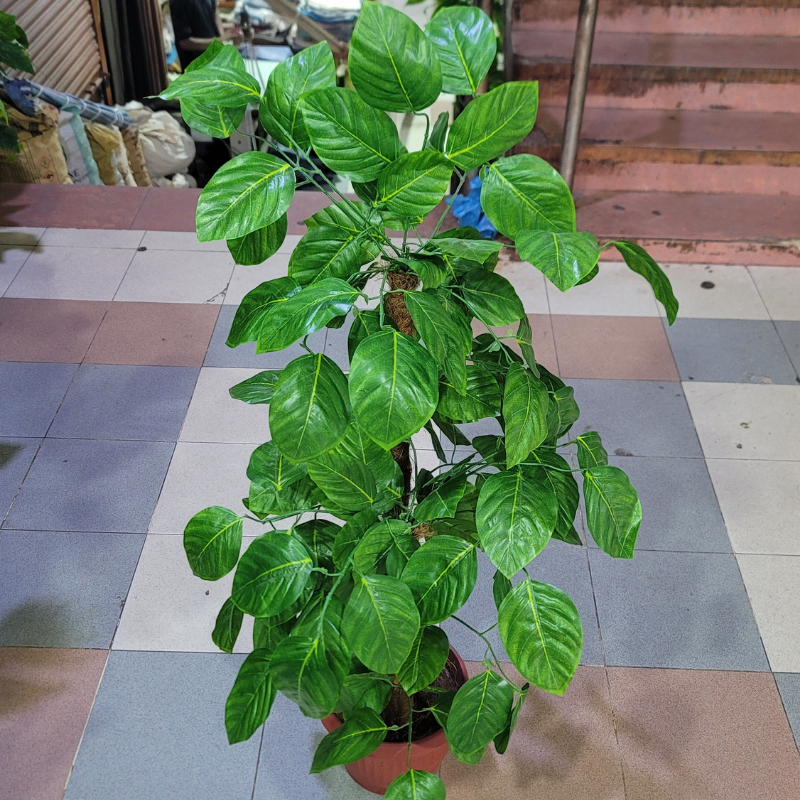 2-in-1 Double Pipe Plant
