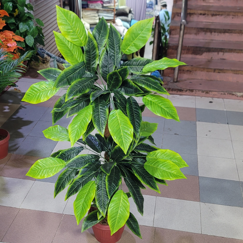 2-in-1 Double Pipe Plant