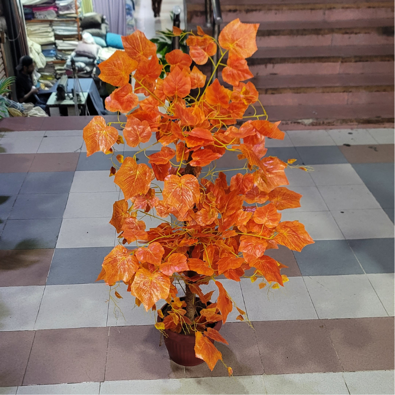 2-in-1 Double Pipe Plant