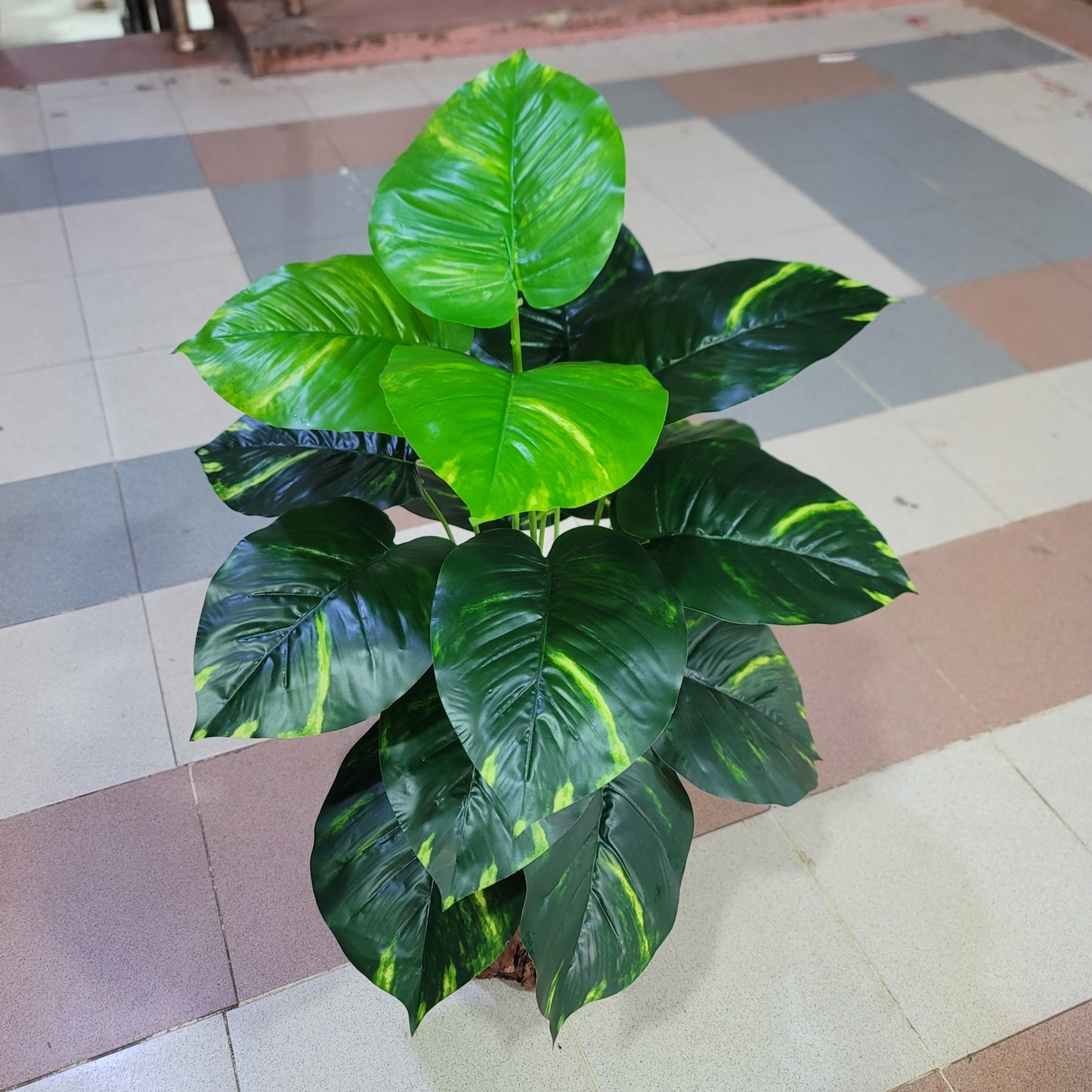 18-Leaves with Fiber pot 4ft
