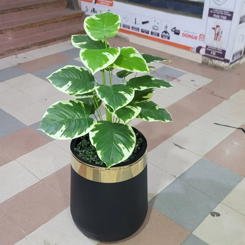 18-Leaves with Fiber pot 4ft