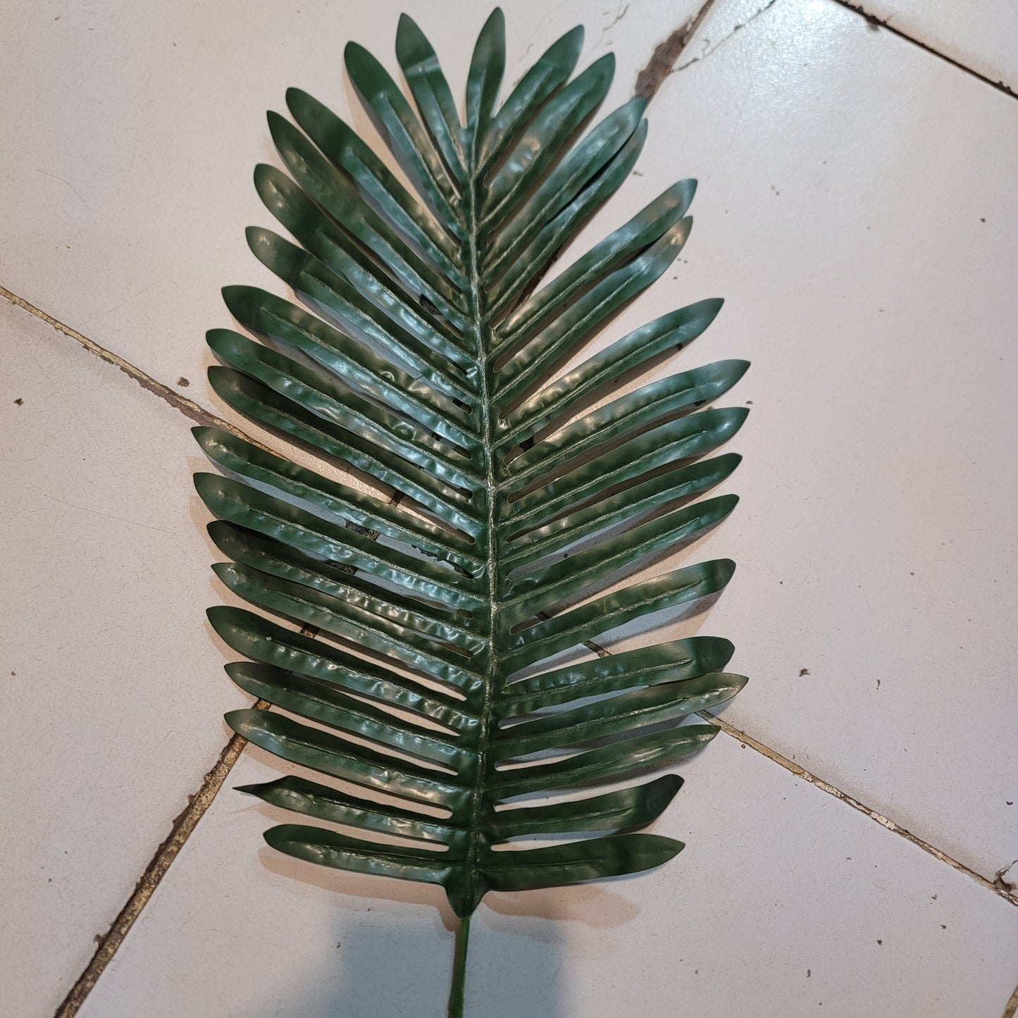 Palm Single Leaves