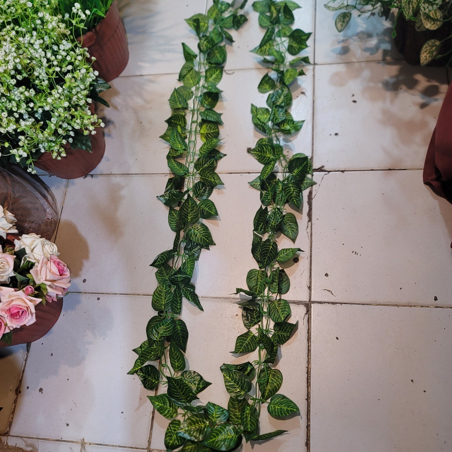 Big Leaf Two Sided Vine