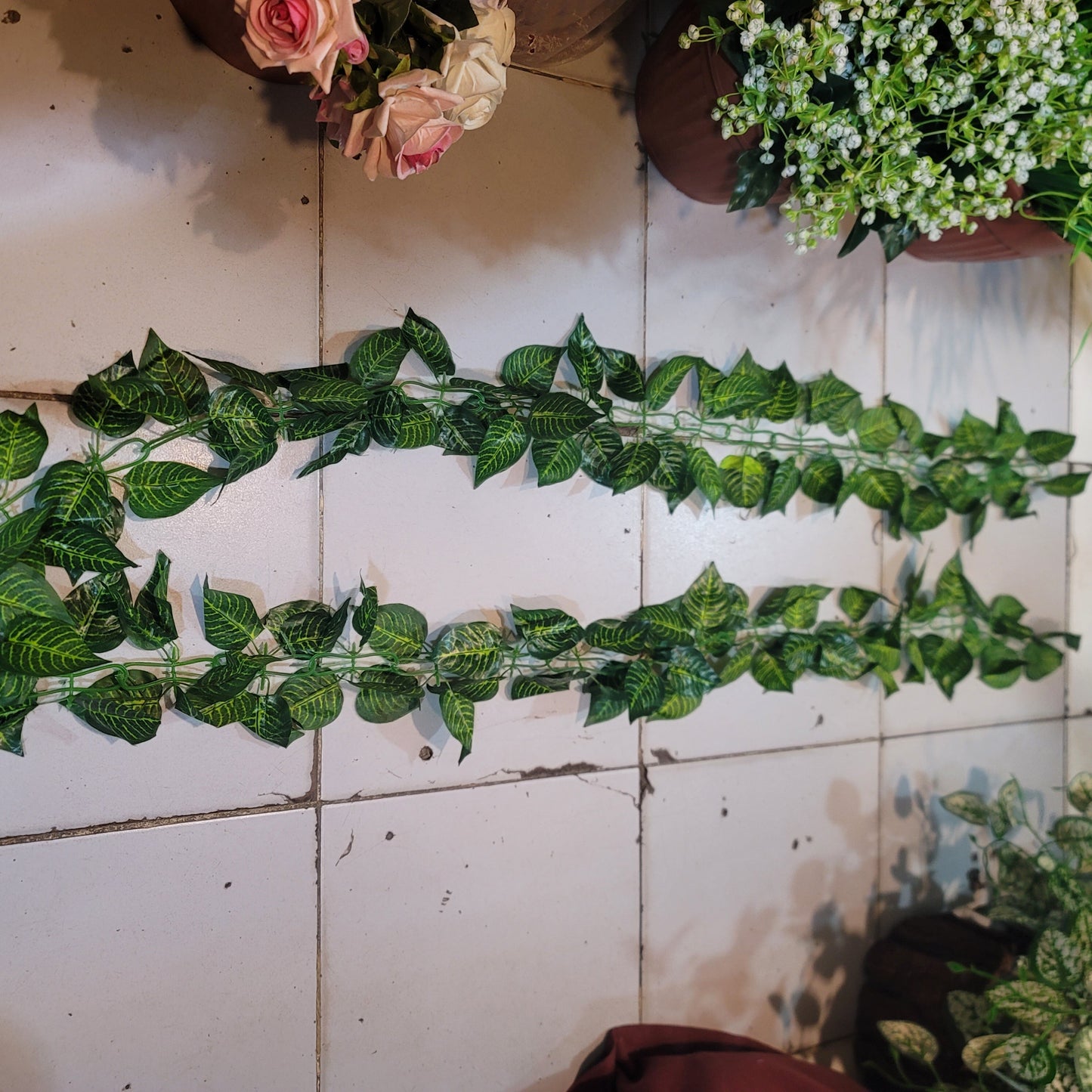 Big Leaf Two Sided Vine