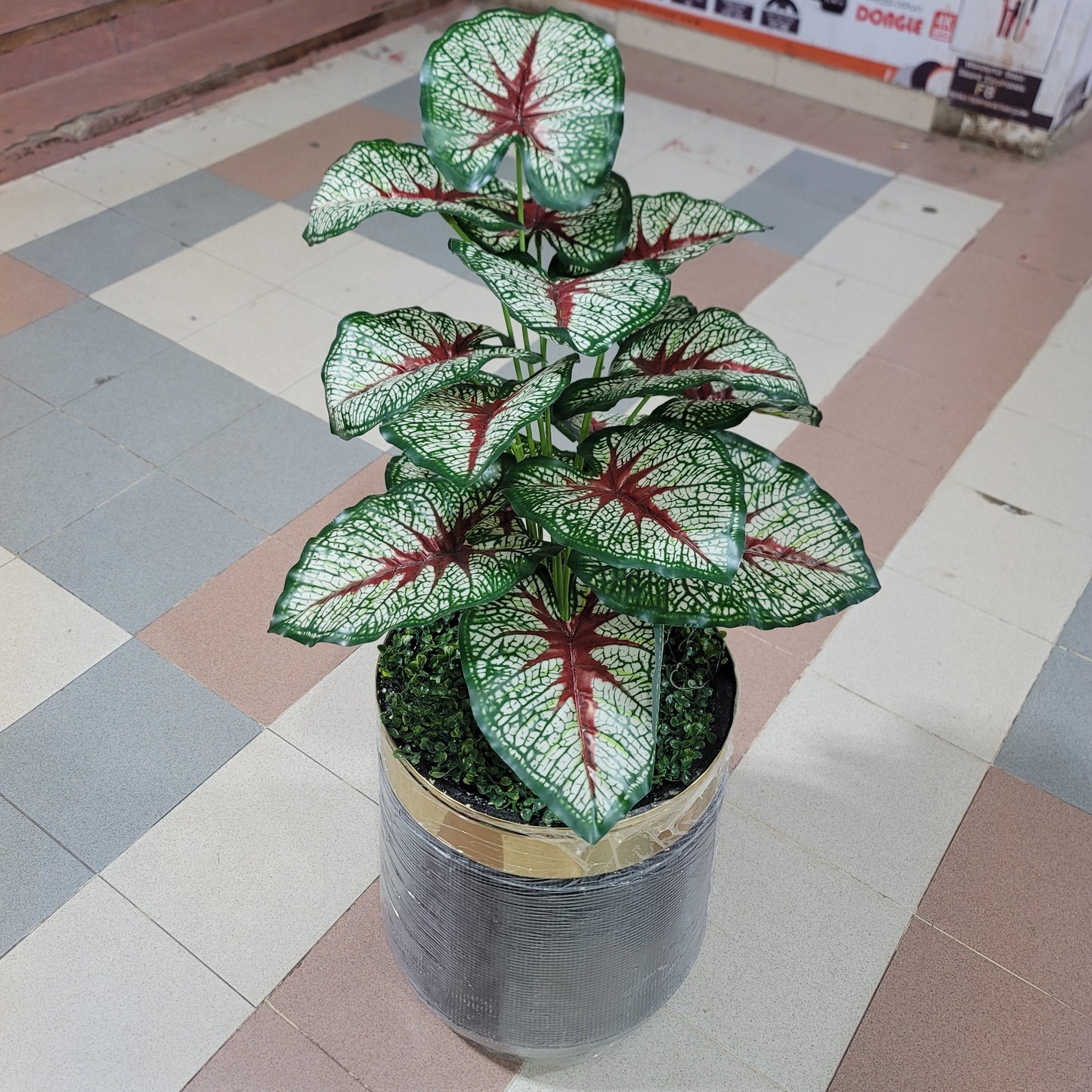 18-Leaves with Fiber pot 4ft
