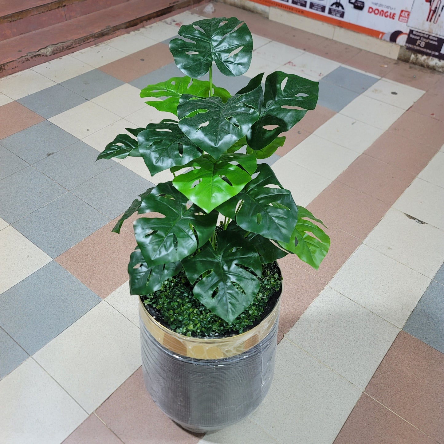 18-Leaves with Fiber pot 4ft