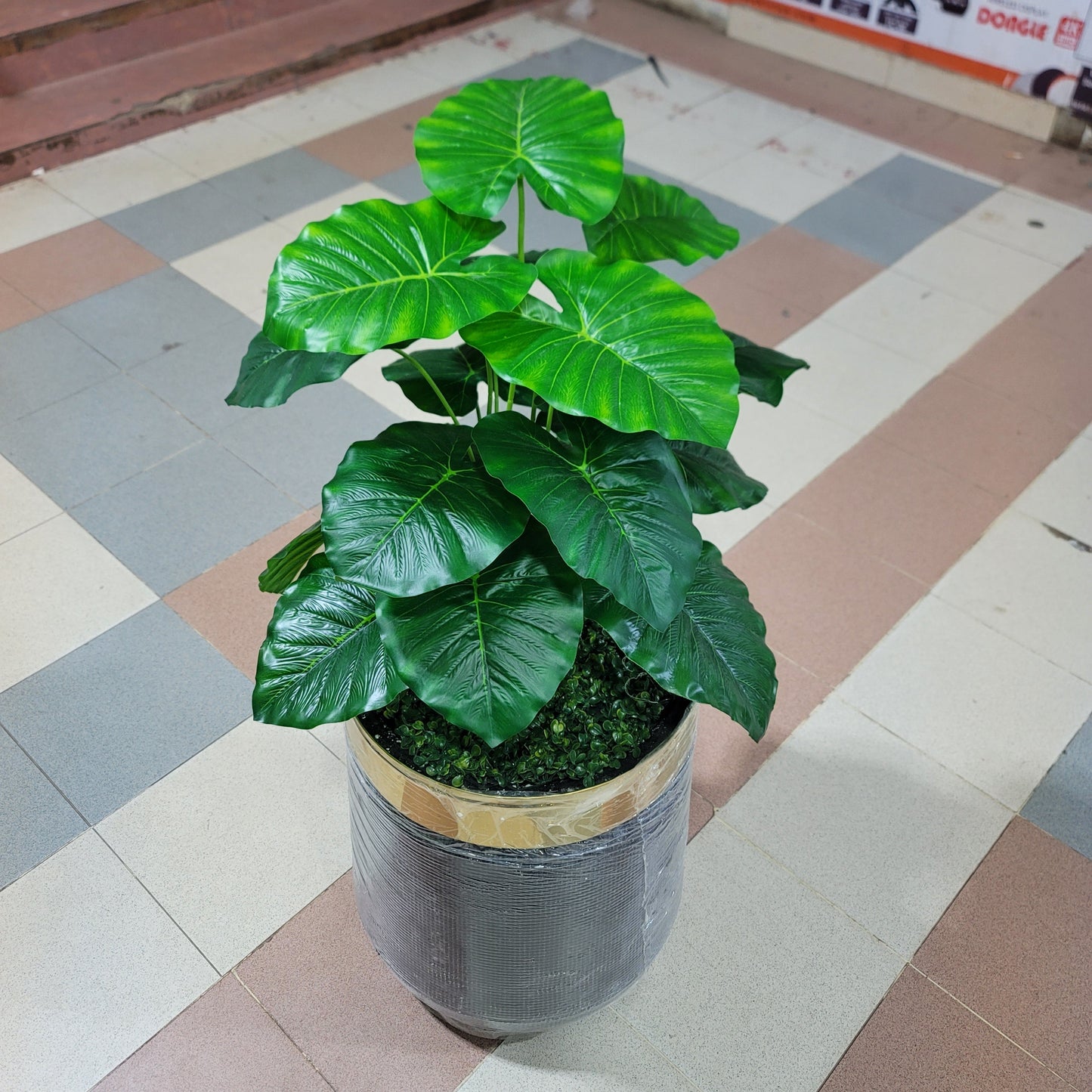 18-Leaves with Fiber pot 4ft
