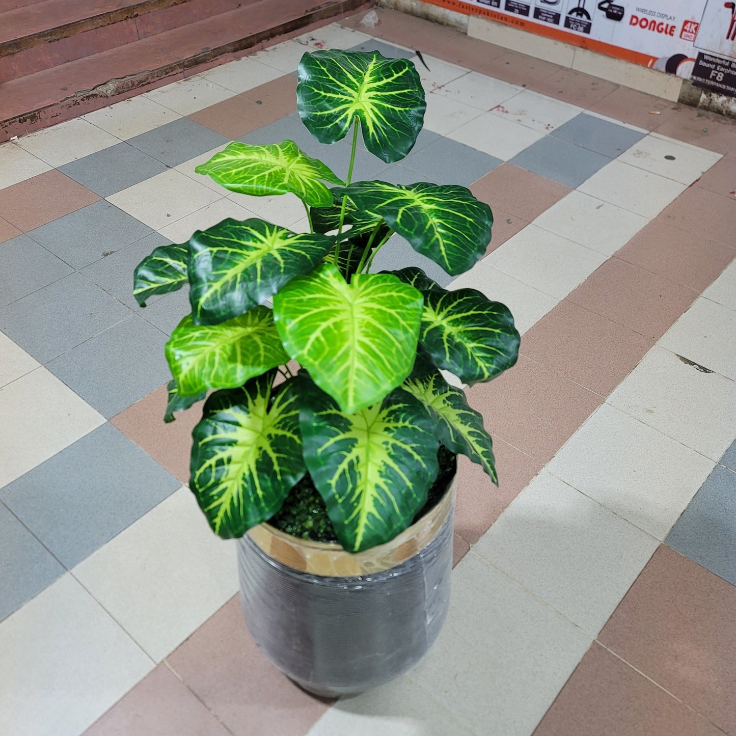 18-Leaves with Fiber pot 4ft