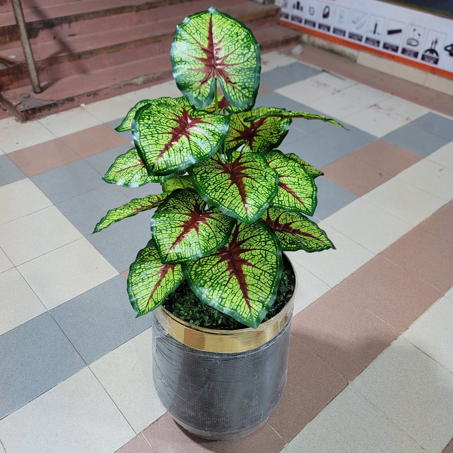 18-Leaves with Fiber pot 4ft
