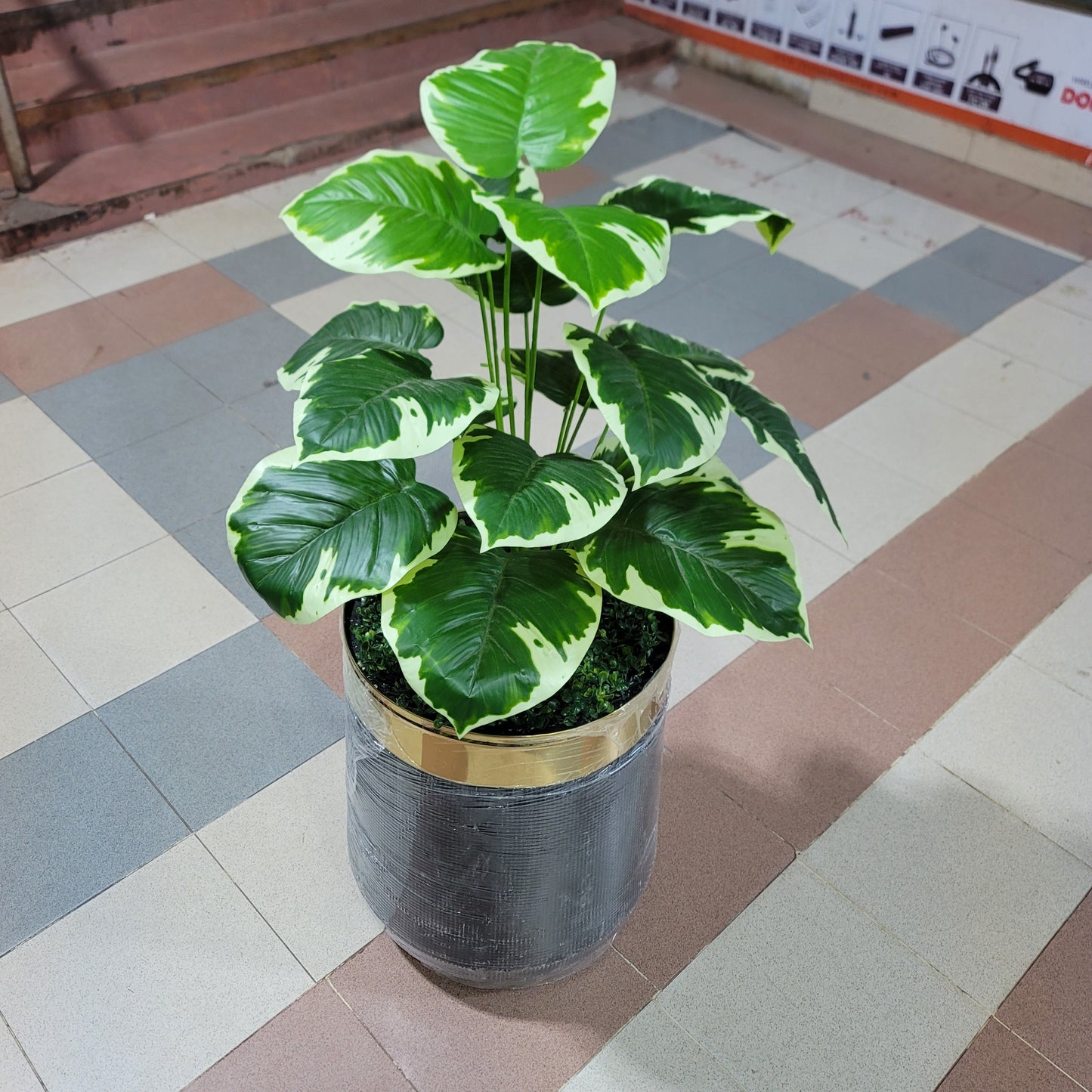 18-Leaves with Fiber pot 4ft