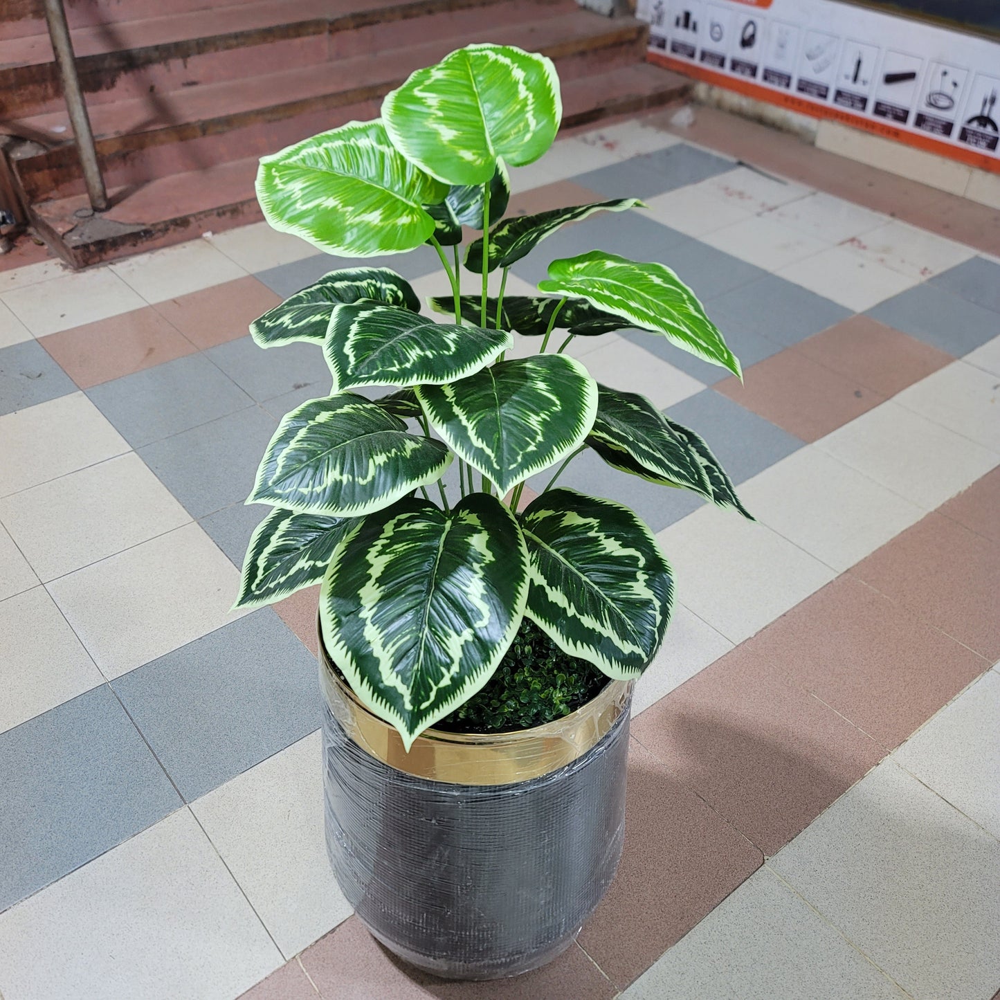 18-Leaves with Fiber pot 4ft