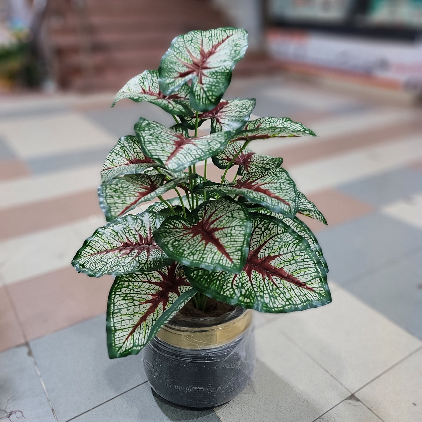 18-Leaves with Fiber pot 3ft