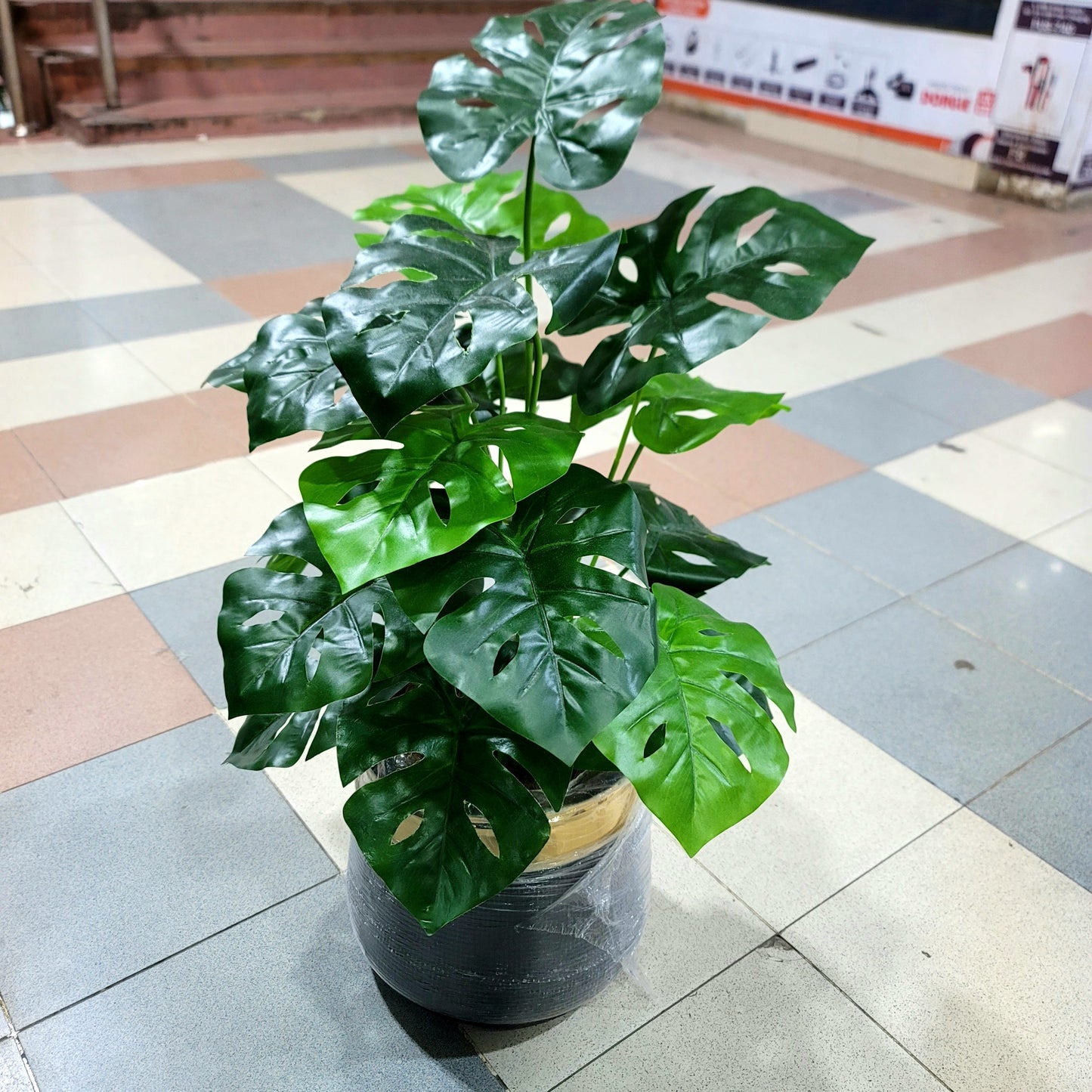 18-Leaves with Fiber pot 3ft