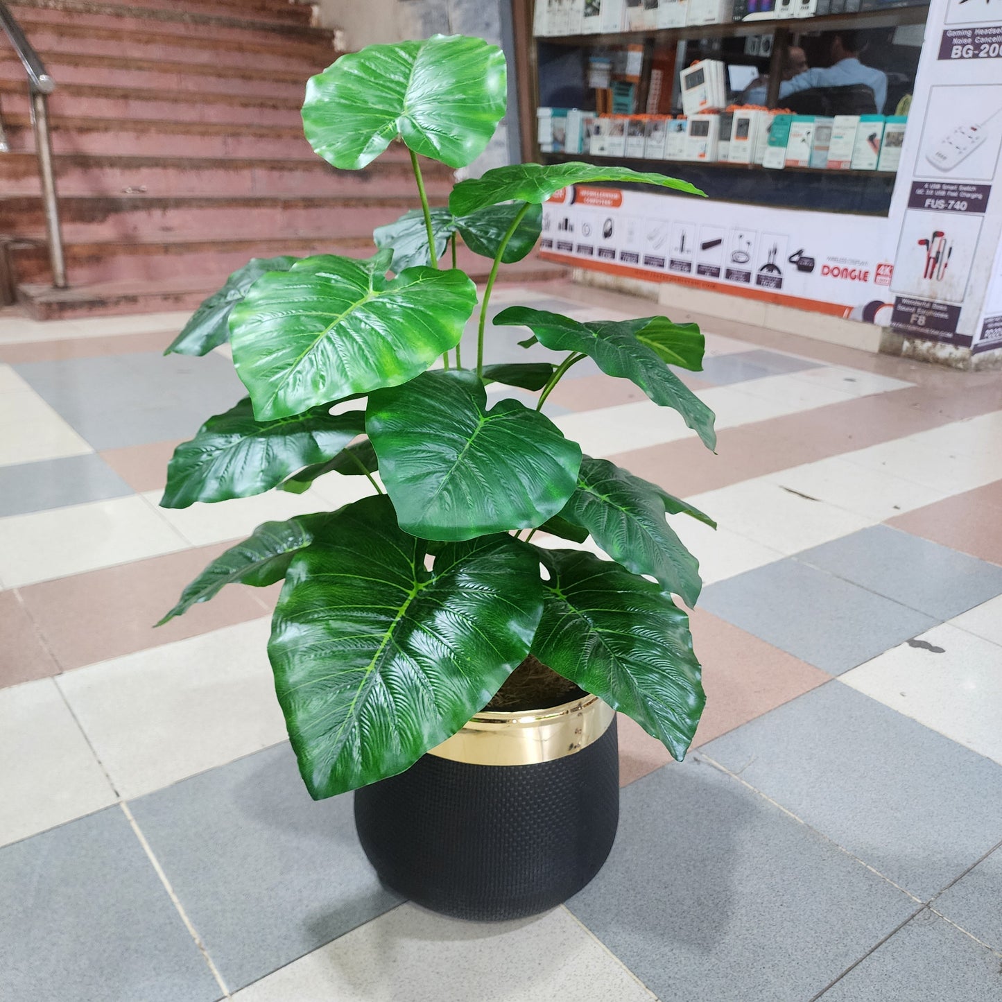 18-Leaves with Fiber pot 3ft