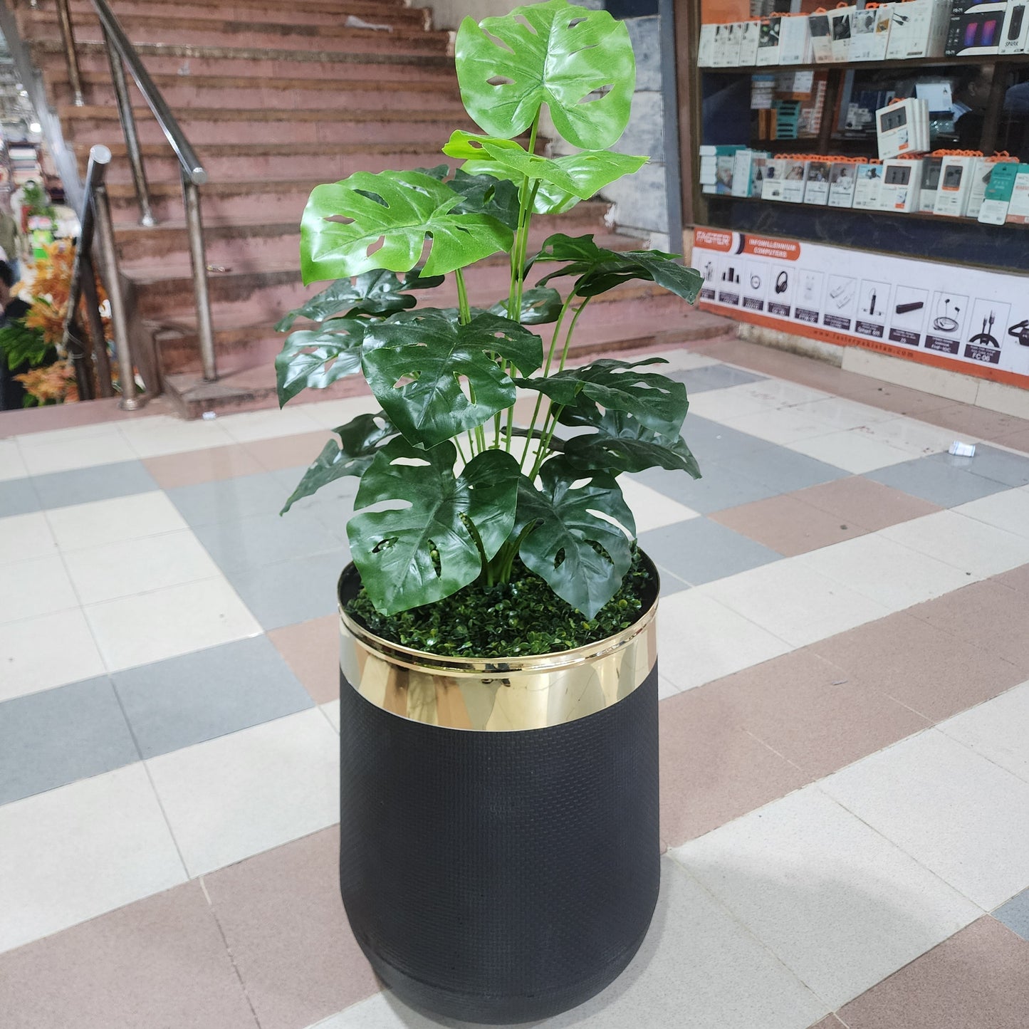 18-Leaves with Fiber pot 4ft