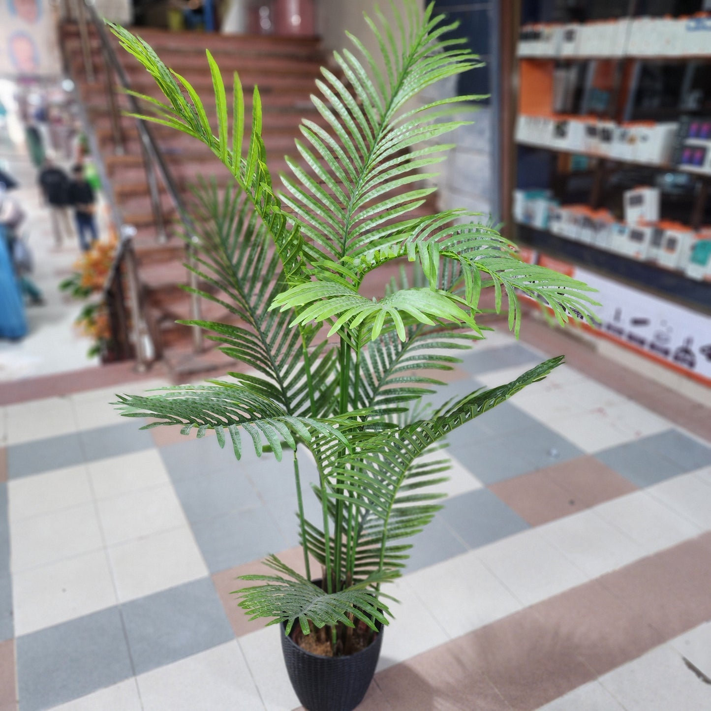 Areca Palm With Fiber Pot 5ft
