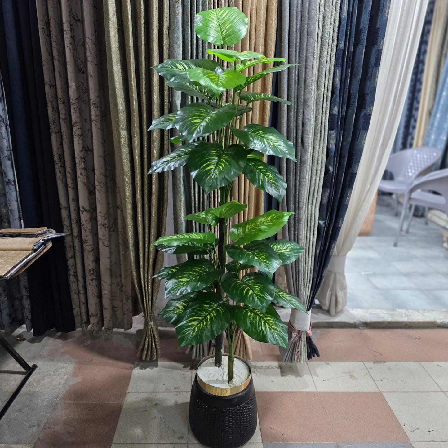 Aglaonema Plant with Golden Neck Pot