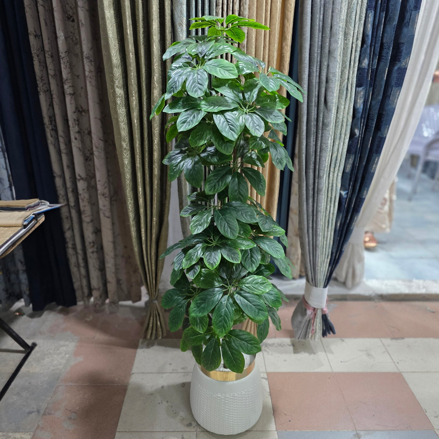 Dwarf Umbrella Plant with Golden Neck Pot