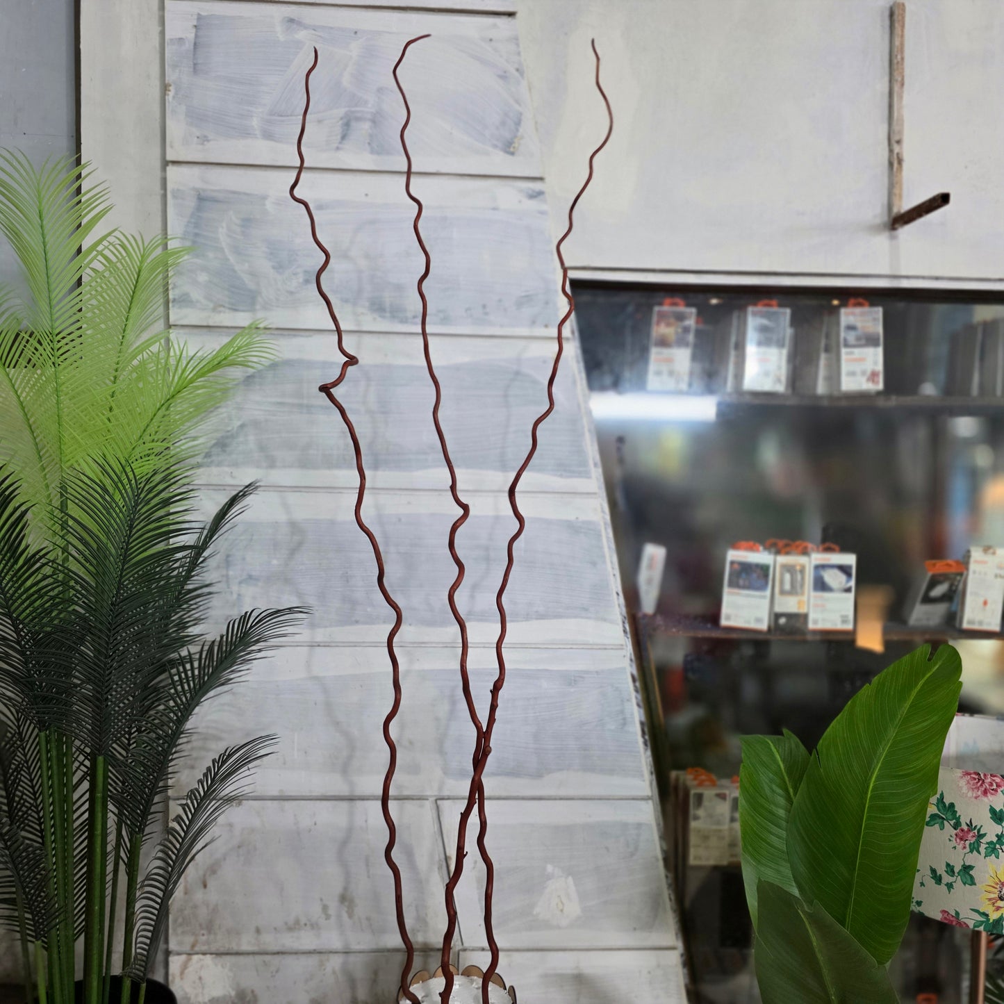 3-in-1 Thick Wooden Curly Sticks