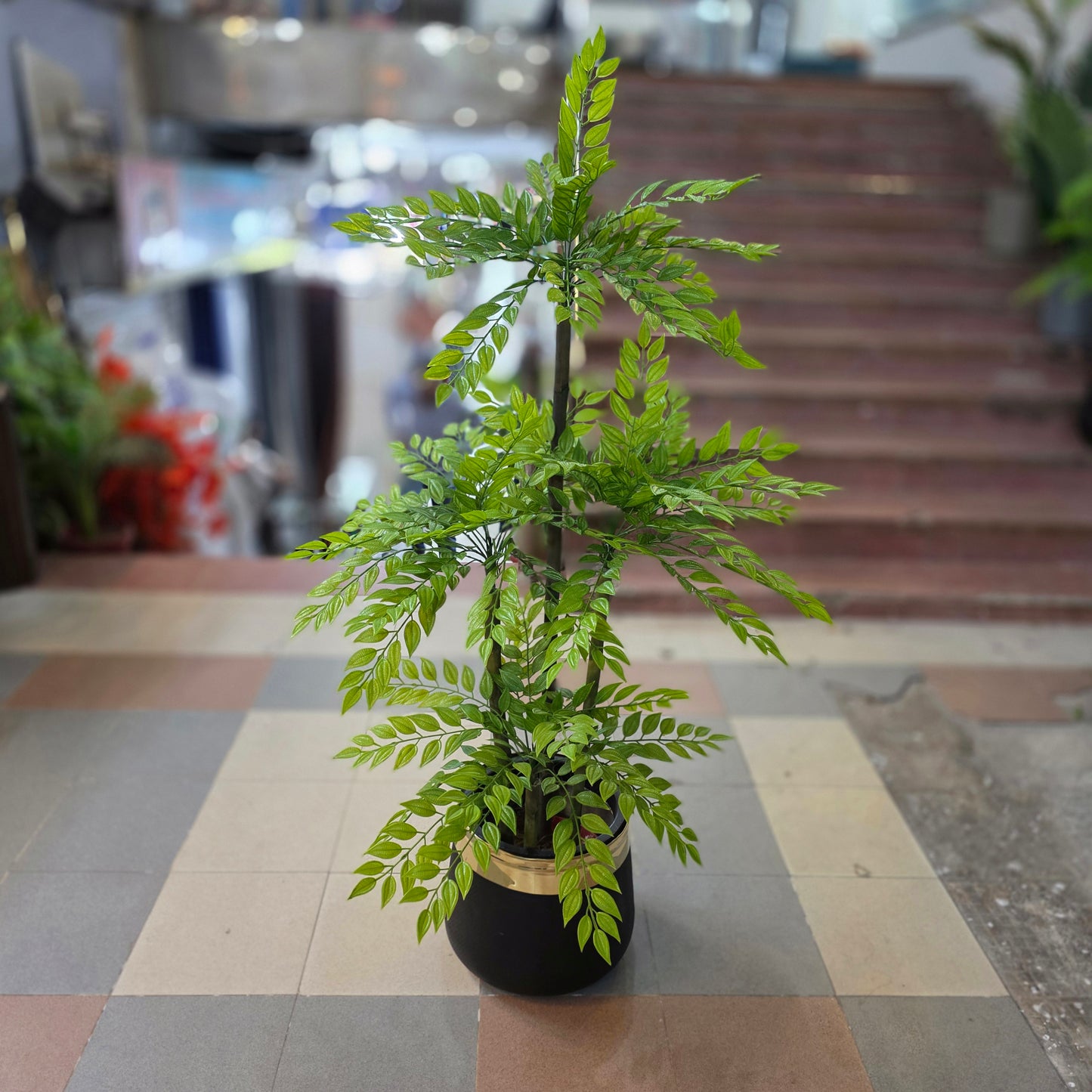 Ficus Bamboo Plant 5ft