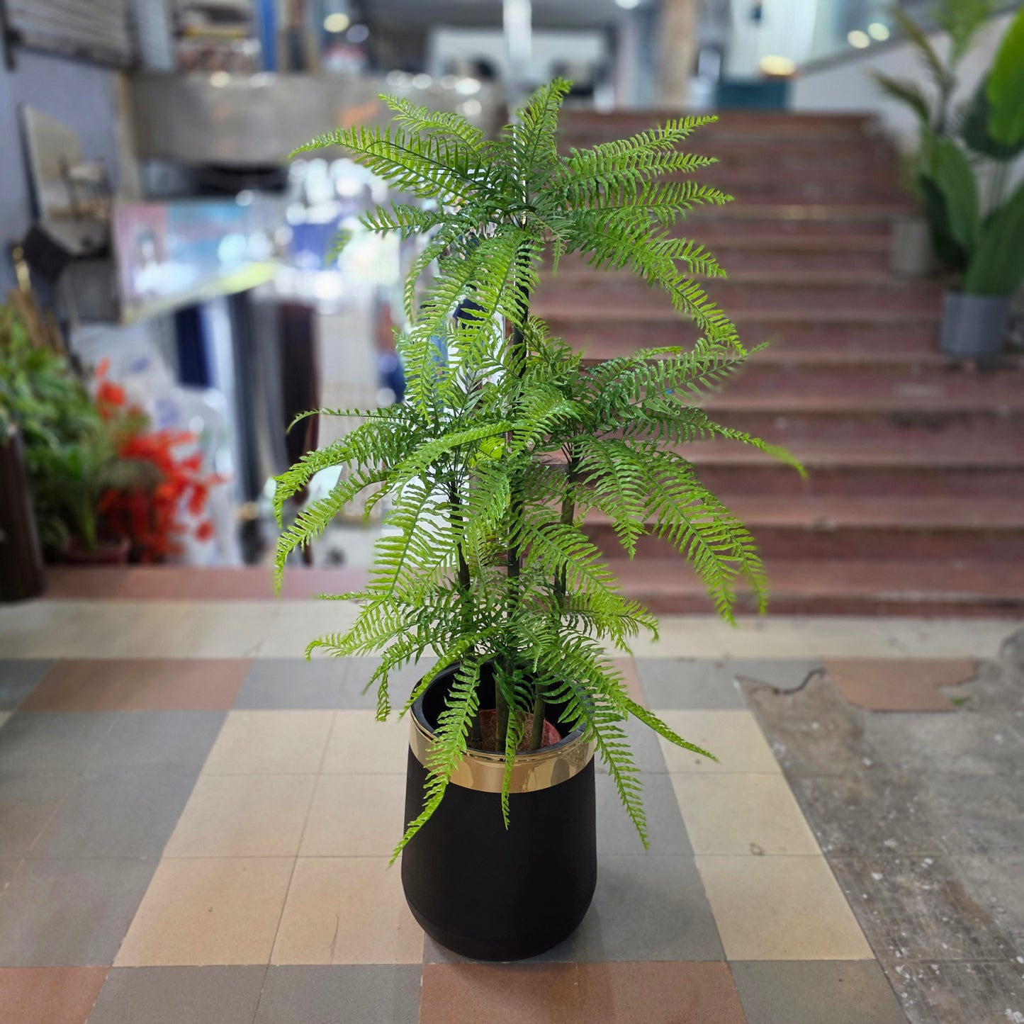 Cactus Bamboo Plant 5ft