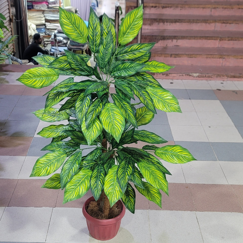 2-in-1 Double Pipe Plant