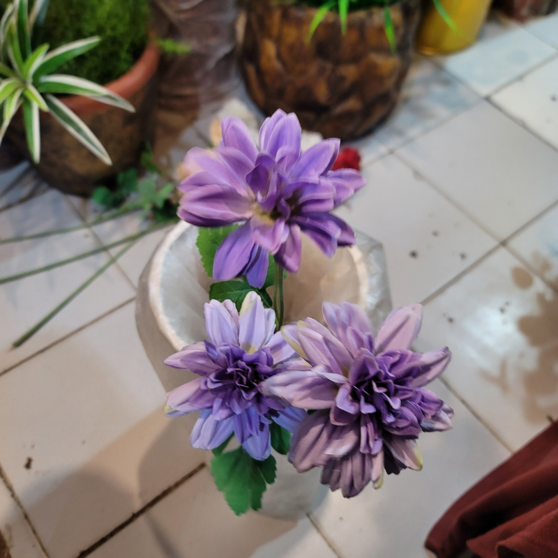 Dahlia Pinnata Flower Stick