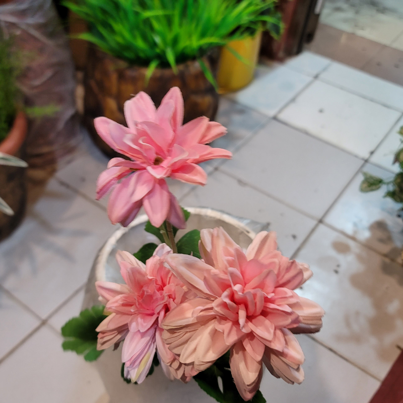 Dahlia Pinnata Flower Stick