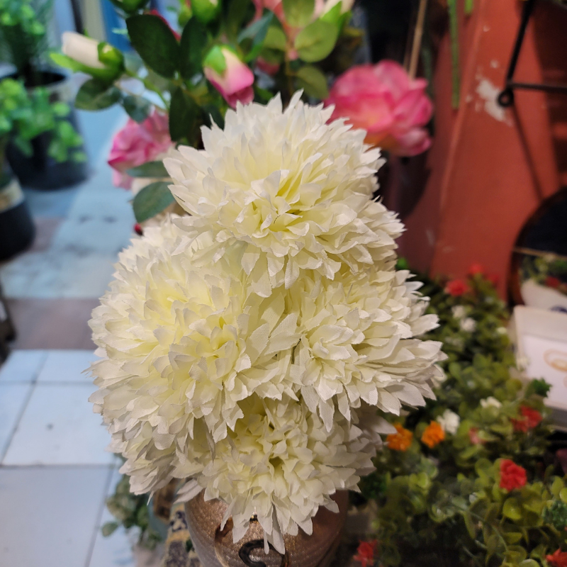Chrysanthemum Bunch