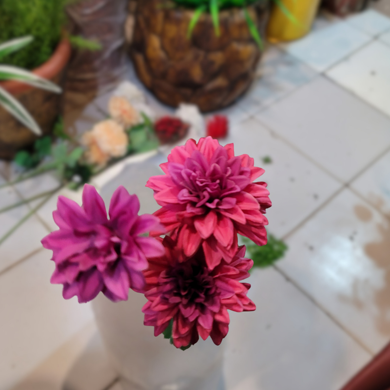 Dahlia Pinnata Flower Stick