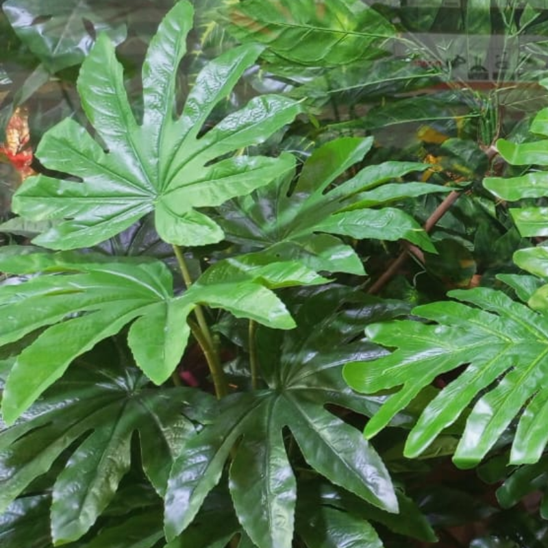 Artificial Single Pipe Plant 5ft