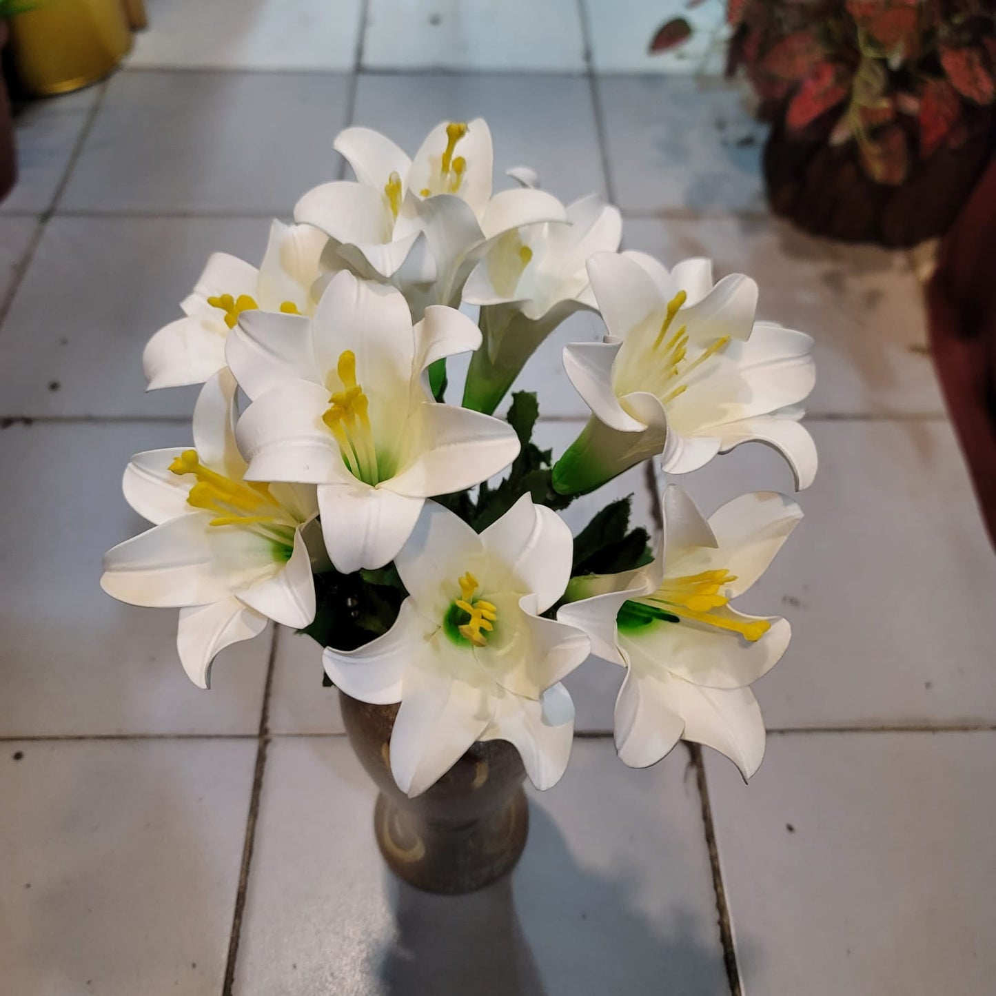 Lily Bunch