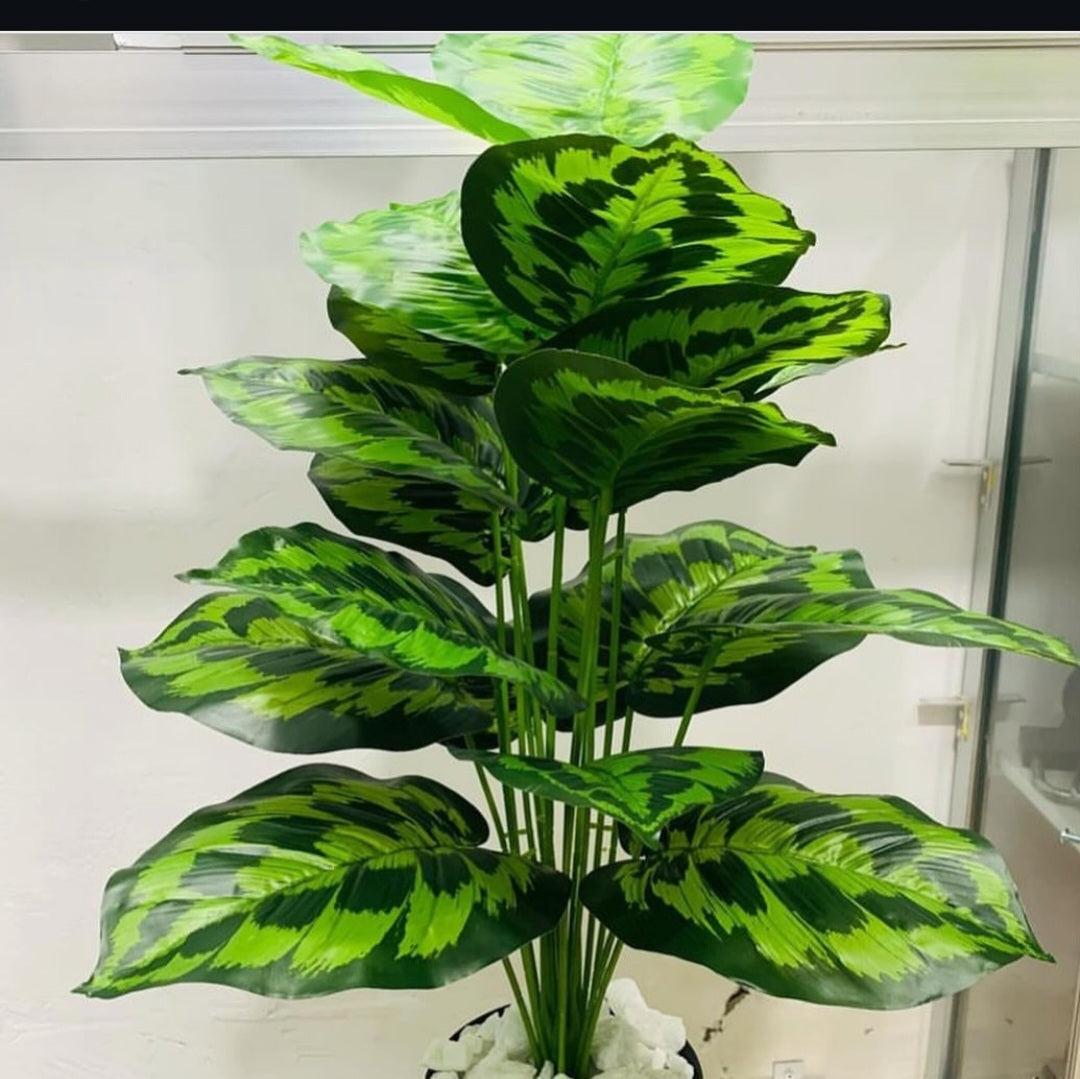 18-Leaves with Fiber pot 4ft