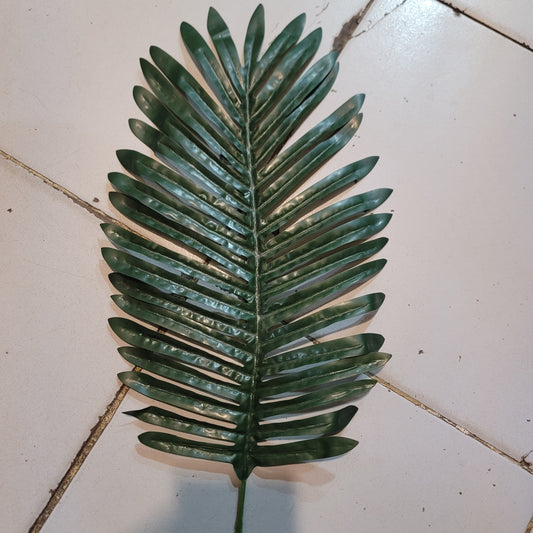 Palm Single Leaves