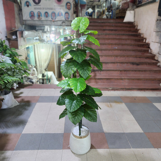 Plain Leaf Plant with Golden Neck Pot