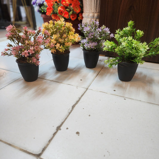 Blossom Filler in Fiber Pot