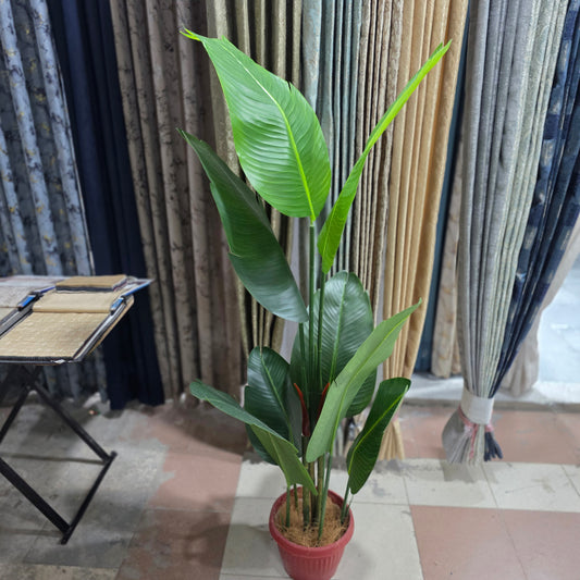 5.5ft Banana Palm – 8 Leaves