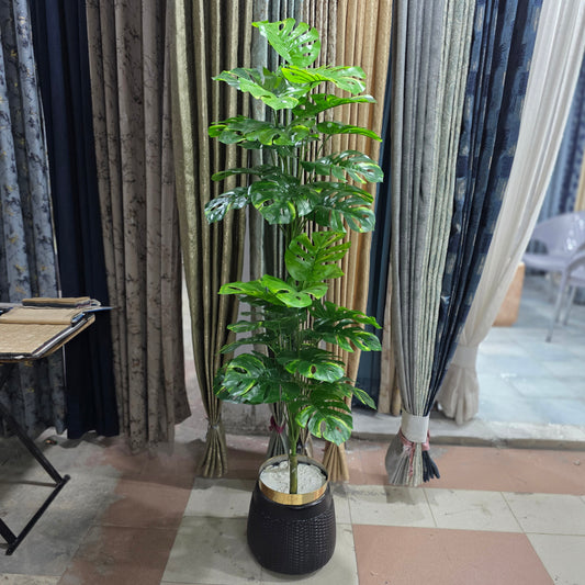 Monstera Plant with Golden Neck Pot