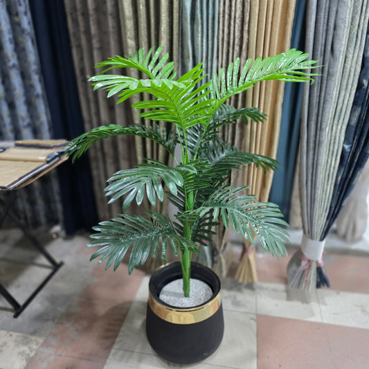 4ft Palm with Fiber Pot
