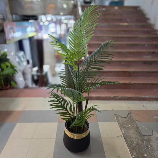 Areca Palm With Fiber Pot 5ft
